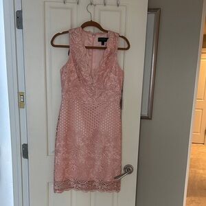 Landry by Shelli Segal Lace Sleeveless Dress